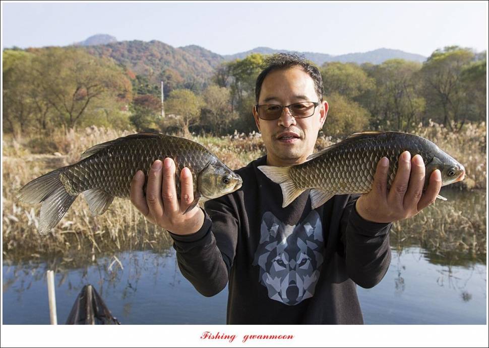 돌감 4 짜 종점 낚시터달천강 조황 (조황조행기 - 특파원조황)