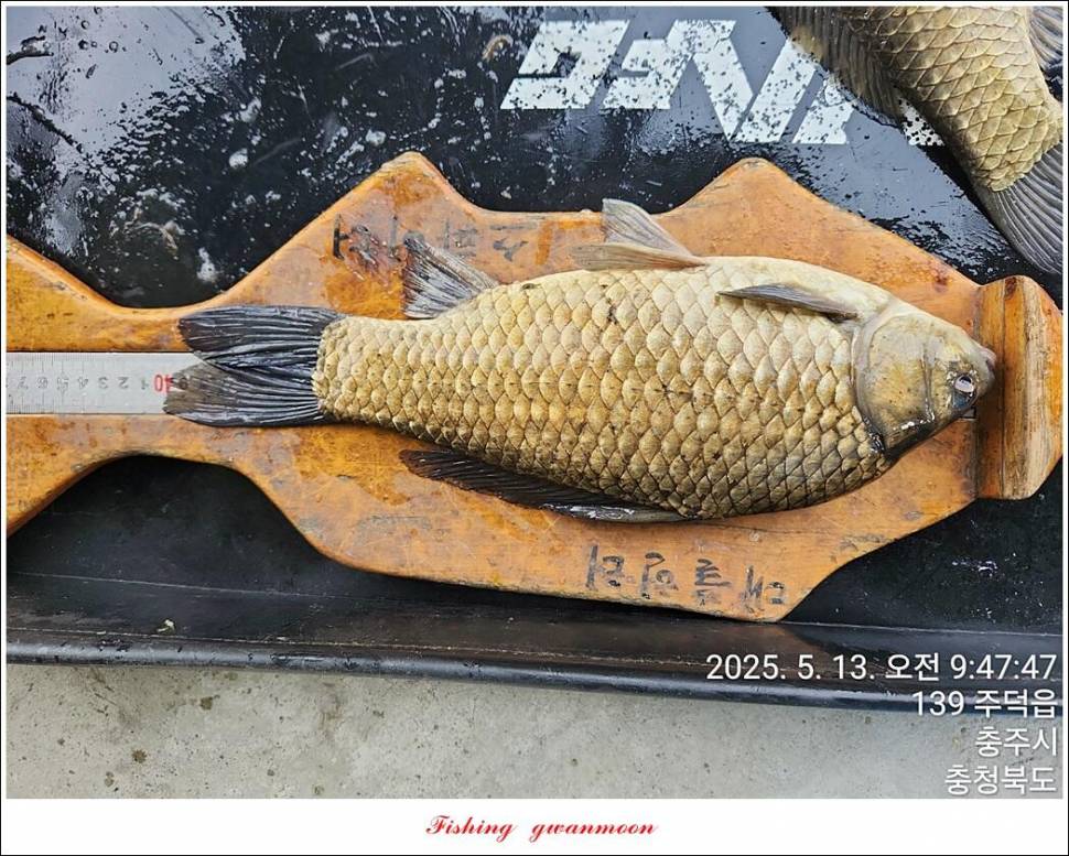 화곡지 조황 (조황조행기 - 특파원조황)
