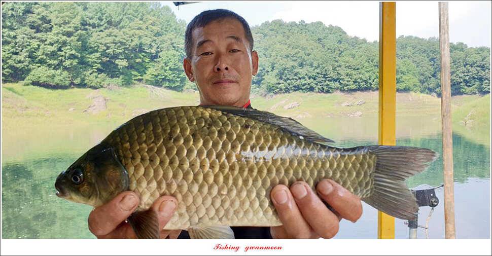 제일늘푸른종점 낚시터 조황 소식 (조황조행기 - 특파원조황)