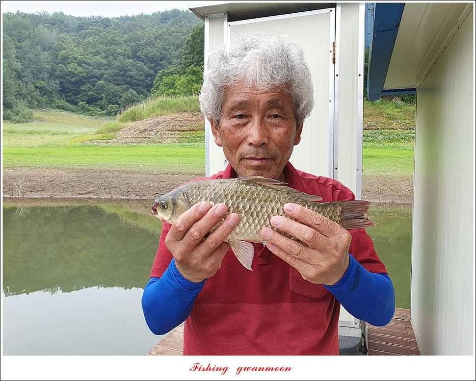 돌감 4 짜실리곡 4 짜신리 4 짜한버들 월척 조황 (조황조행기 - 특파원조황)