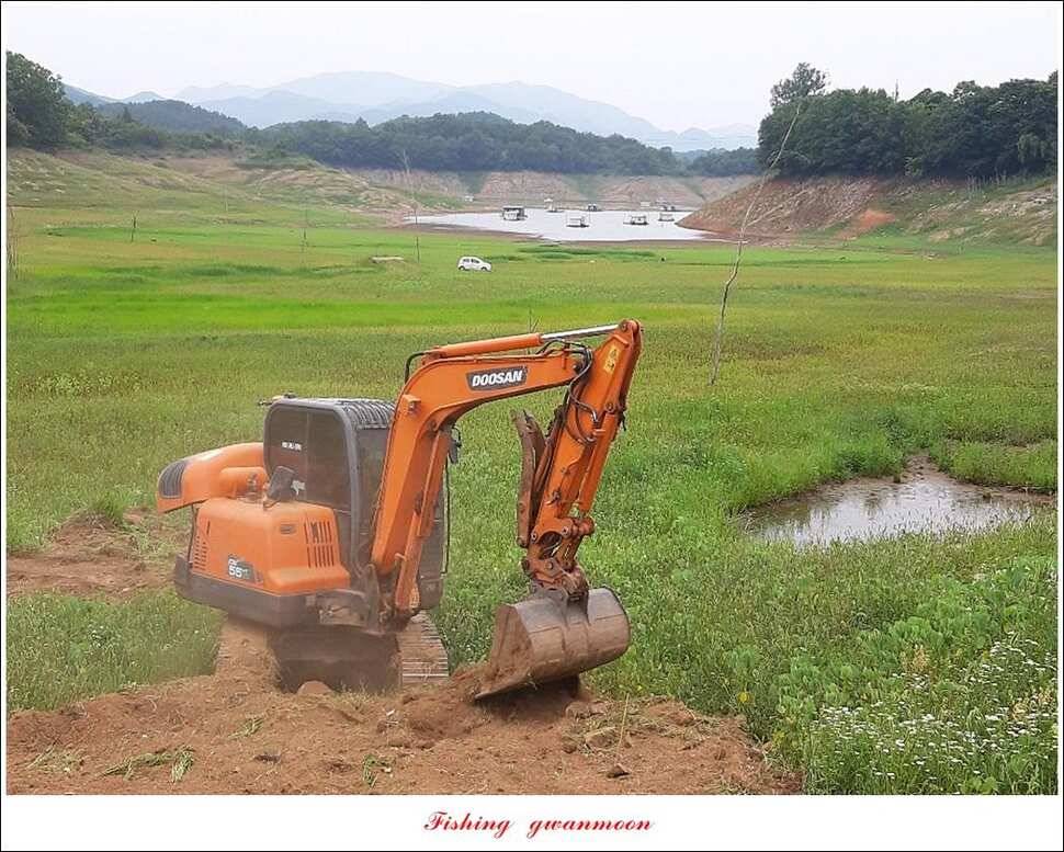 병호 월척장어돌감 38 cm385 cm솔 40 cm (조황조행기 - 특파원조황)