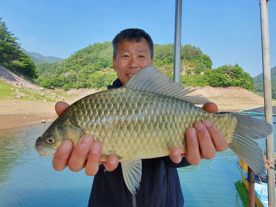 목벌 허리급에서 4짜까지 꾸준한 조황 (조황조행기 - 특파원조황)