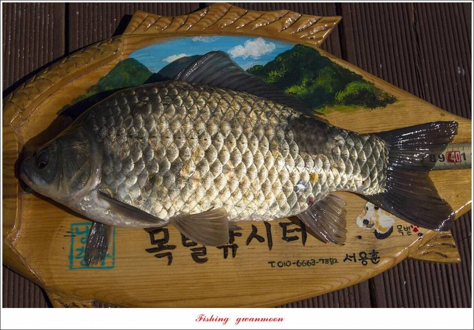 목벌 낚시터 4 짜 조황 (조황조행기 - 특파원조황)