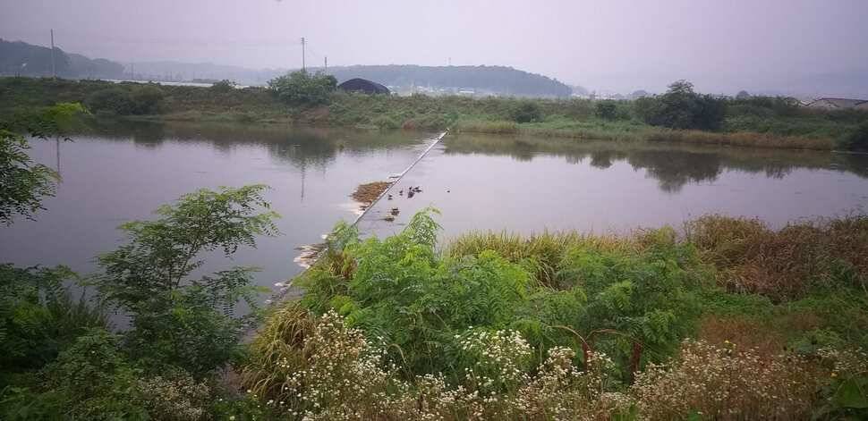 청미천 전경입니다 (조황조행기 - 특파원조황)