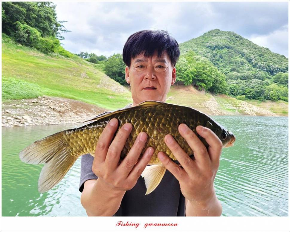 목벌 41cm40 cm허리급 월척 조황 (조황조행기 - 특파원조황)