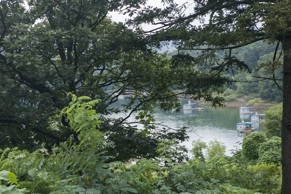 문골 낚시터화곡지 조황 (조황조행기 - 특파원조황)