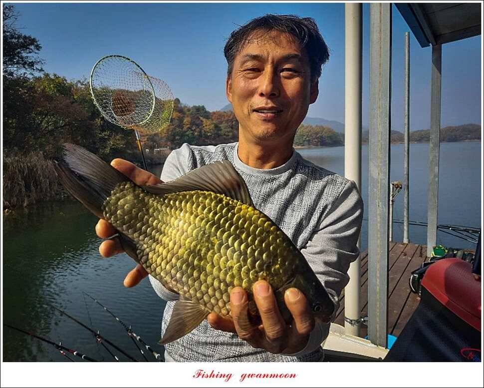제일돌감칠성지 월척 조황 (조황조행기 - 특파원조황)