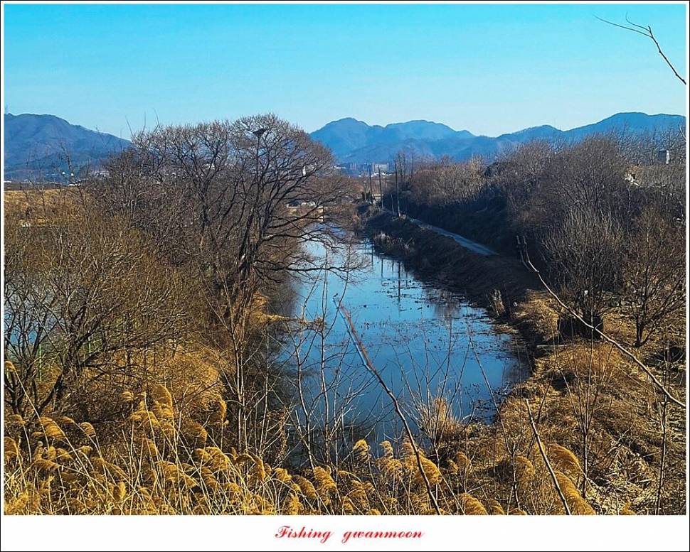 돌감 38 cm 및 화곡지외 주변 조황 (조황조행기 - 특파원조황)