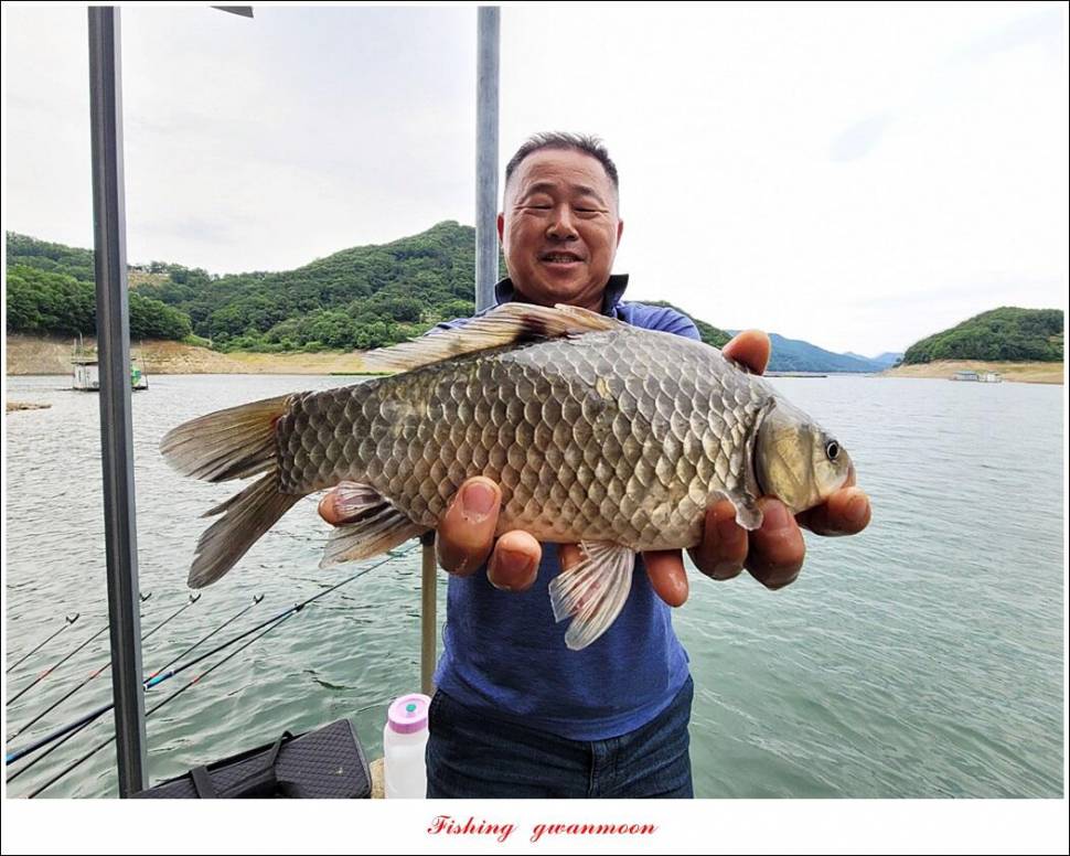 한버들 43 cm목벌 4 짜 2 수솔 낚시터사오리 월척 조황 (조황조행기 - 특파원조황)