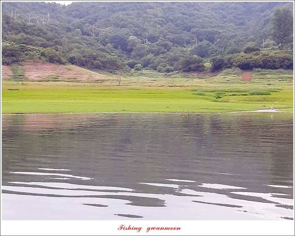돌감신매 허리급 월척 조황 (조황조행기 - 특파원조황)