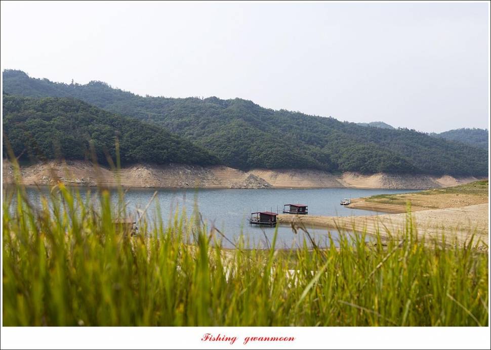 솔 낚시터 4 짜화곡지 4 짜 및 월척 조황 (조황조행기 - 특파원조황)