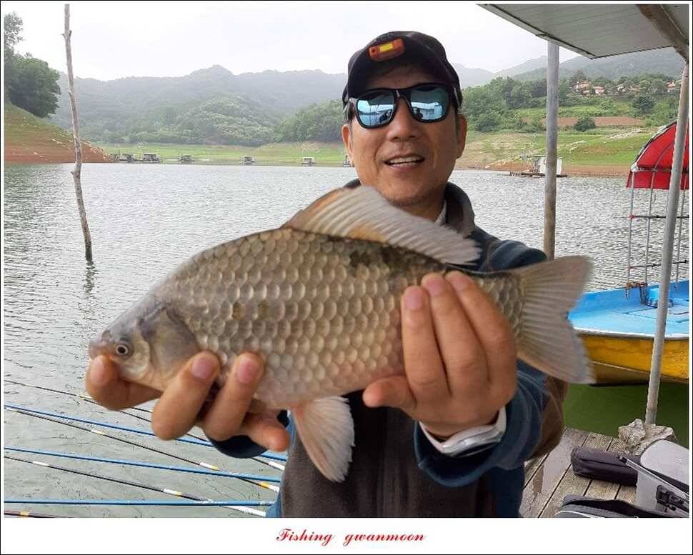돌감 좌대칠성지 월척 달천강 사짜 및 월척 조황 (조황조행기 - 특파원조황)