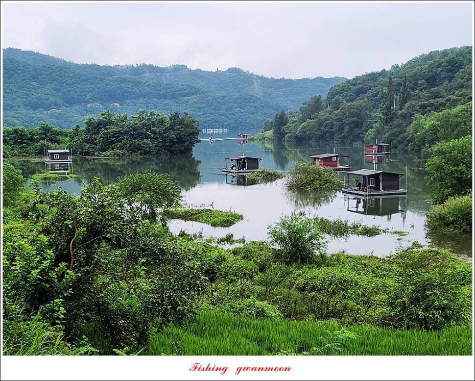충주호 만수위 및 신리 4 짜 대물 조황 (조황조행기 - 특파원조황)