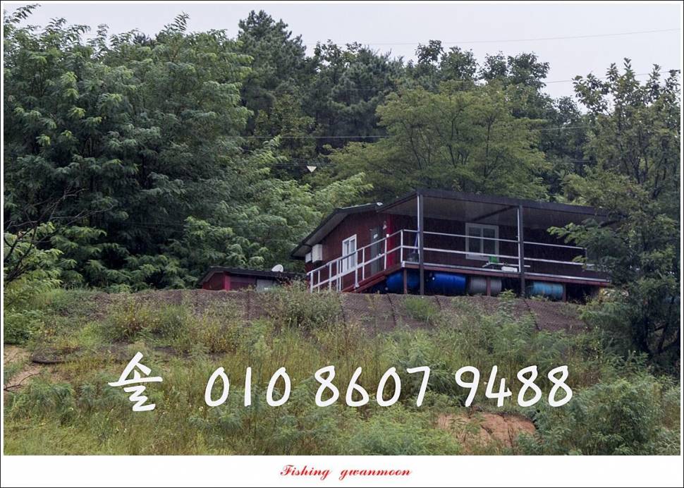 충주호 오름수위화곡지 조황 (조황조행기 - 특파원조황)