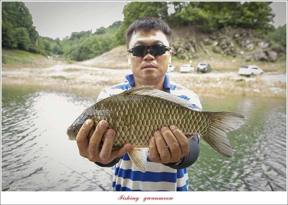 소이지 5 짜신매 4 짜칠성지 월척 조황 (조황조행기 - 특파원조황)