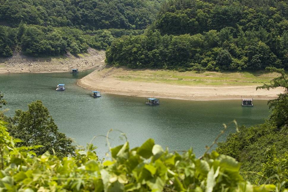 괴산음성 저수지 및 목벌 낚시터 조황 (조황조행기 - 특파원조황)