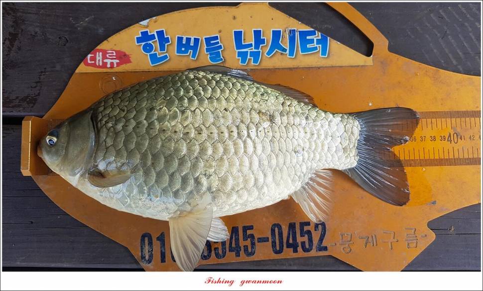 신리 4 짜 7 수실리곡 4 짜 4 수한버들 4 짜 3 수 (조황조행기 - 특파원조황)