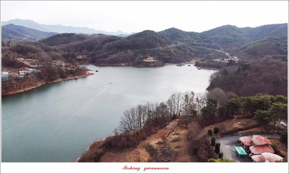 돌감 39 cm한버들 월척 조황 (조황조행기 - 특파원조황)