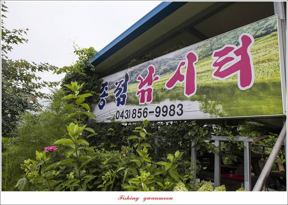 솔 4 짜 3 수 및 마릿수 대물종점 4 짜 조황 (조황조행기 - 특파원조황)