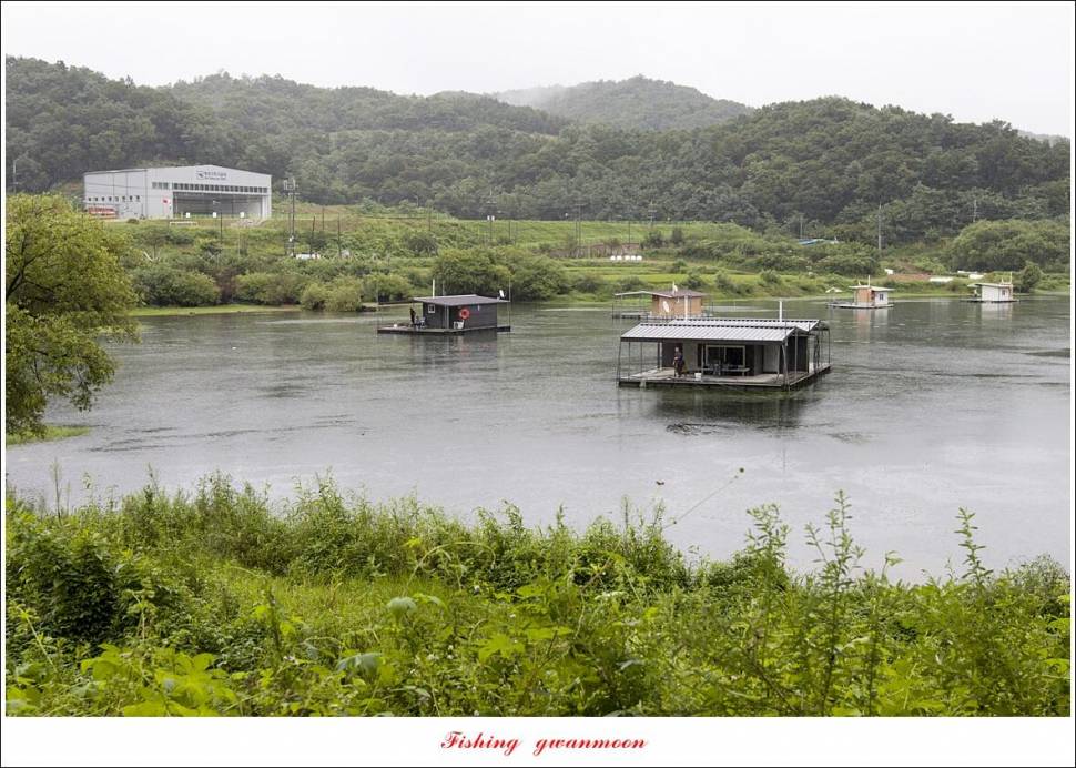충주호 오름수위화곡지 조황 (조황조행기 - 특파원조황)