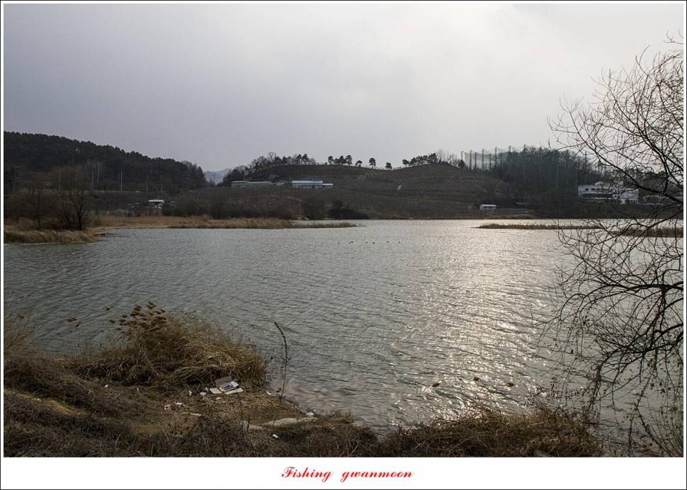 달천강 월척 조황 (조황조행기 - 특파원조황)