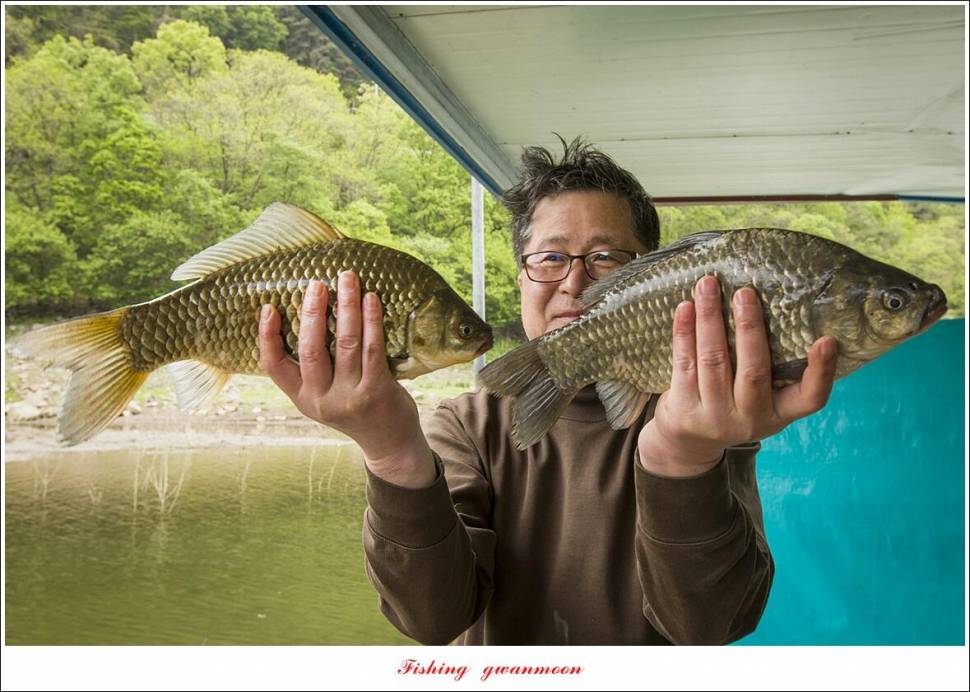 사오리 4 짜한버들 4 짜봉낚시터 조황 (조황조행기 - 특파원조황)