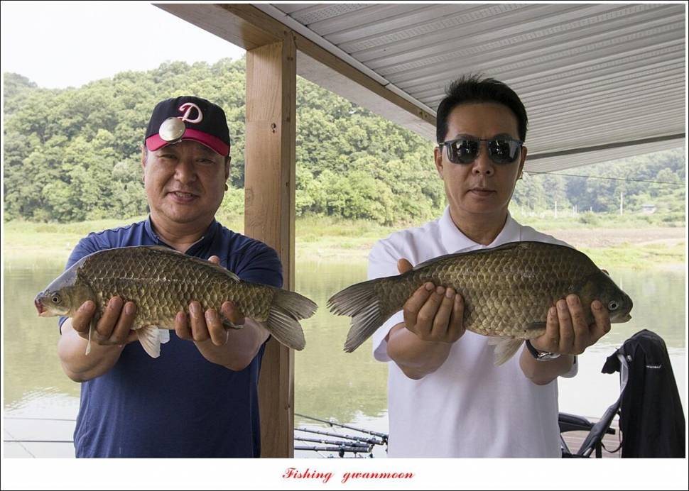 제일솔종점 4 짜 대물 및 화곡지 호조황 (조황조행기 - 특파원조황)