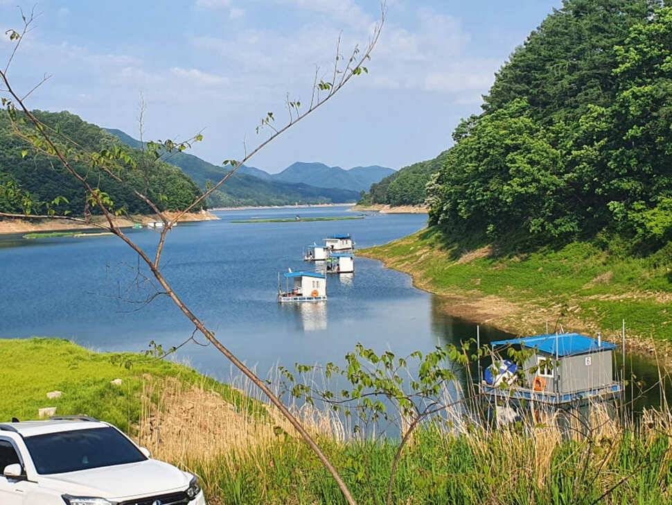 하천 4짜에 마릿수도 대박목벌도 4짜명서에도 꾸준한 조황 (조황조행기 - 특파원조황)