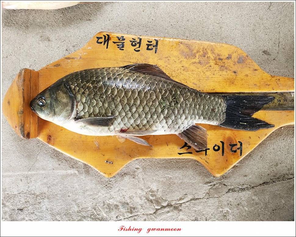 명서 4 짜한버들 4 짜화곡지 호조황 (조황조행기 - 특파원조황)