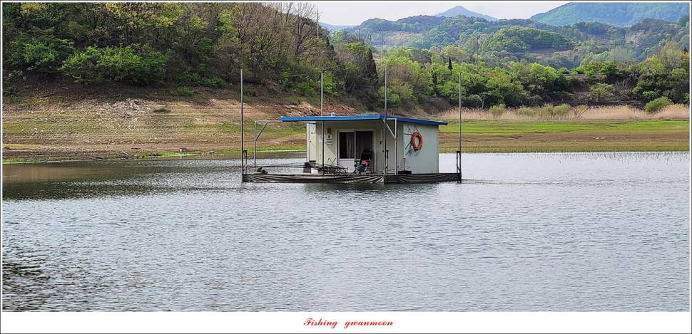 화곡지 4 짜 및 청풍호 조황 소식 (조황조행기 - 특파원조황)