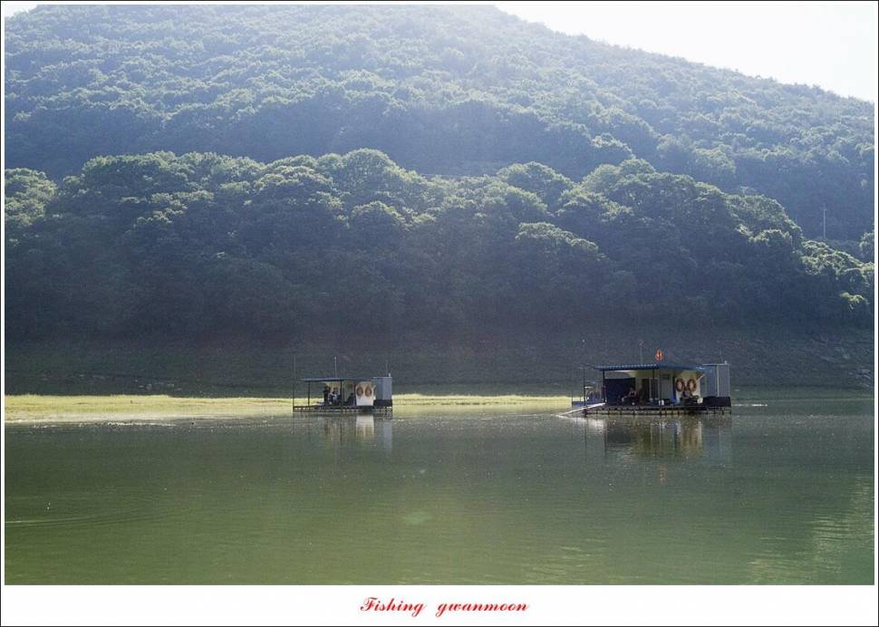 명서 노지사오리소이지 4 짜 및 월척 호조황 (조황조행기 - 특파원조황)