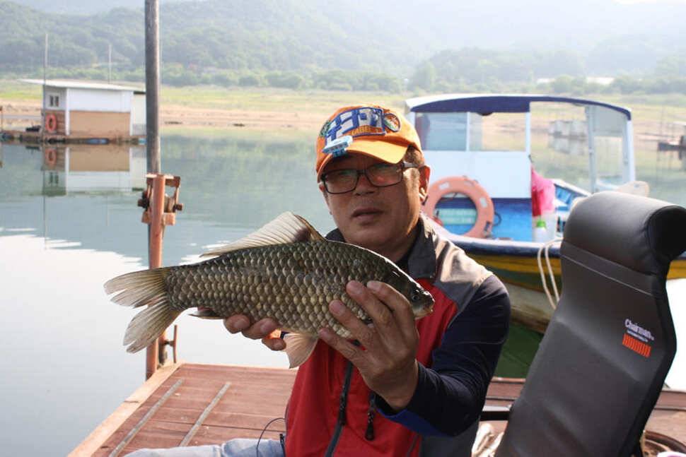 솔 395cm 외 허리급 목벌 4짜에 허리급 마릿수 하천 허리급 조황소식 (조황조행기 - 특파원조황)