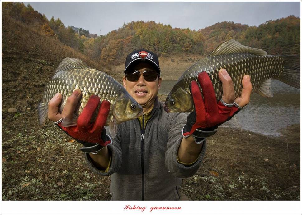 충주호 노지 낚시의 추억 (조황조행기 - 특파원조황)