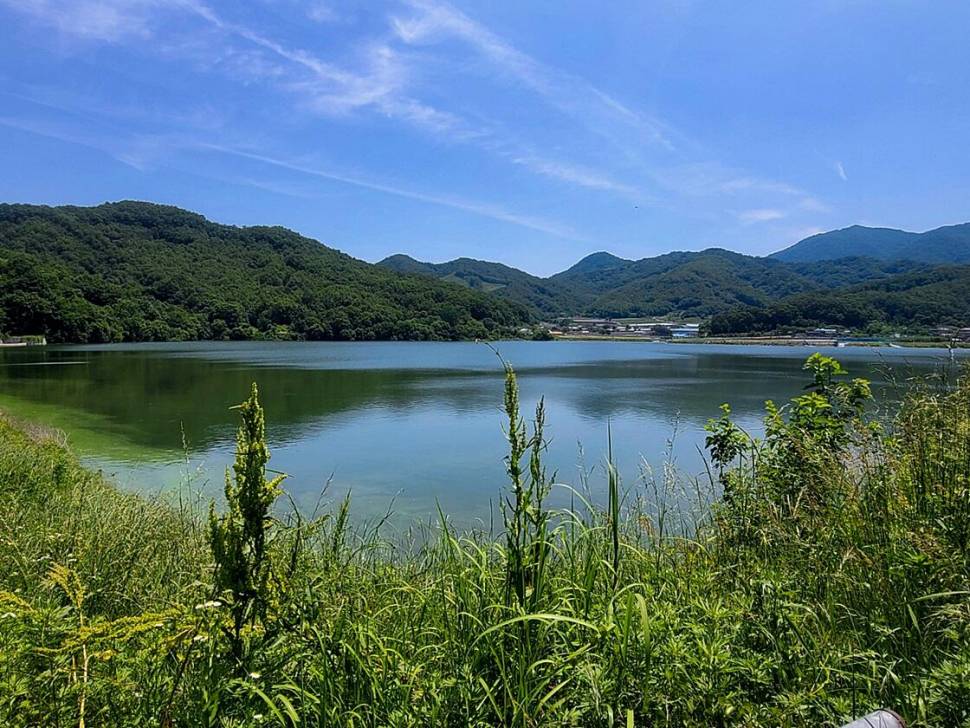 괴산음성 저수지 및 목벌 낚시터 조황 (조황조행기 - 특파원조황)
