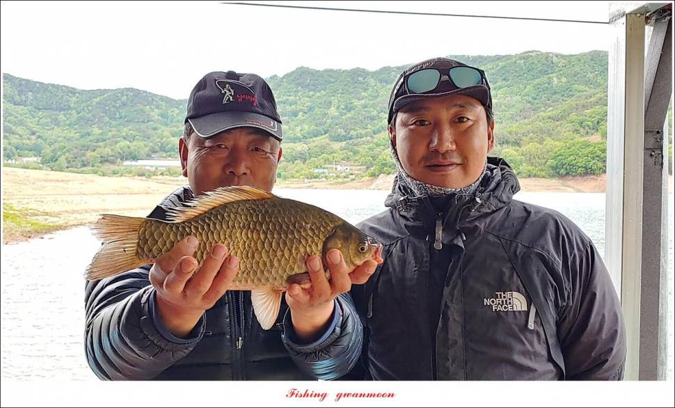 한버들 44 cm신리 415 cm41 cm실리곡 4 자돌감 4 짜화곡지 4 짜솔 37 cm 조황 정보 (조황조행기 - 특파원조황)