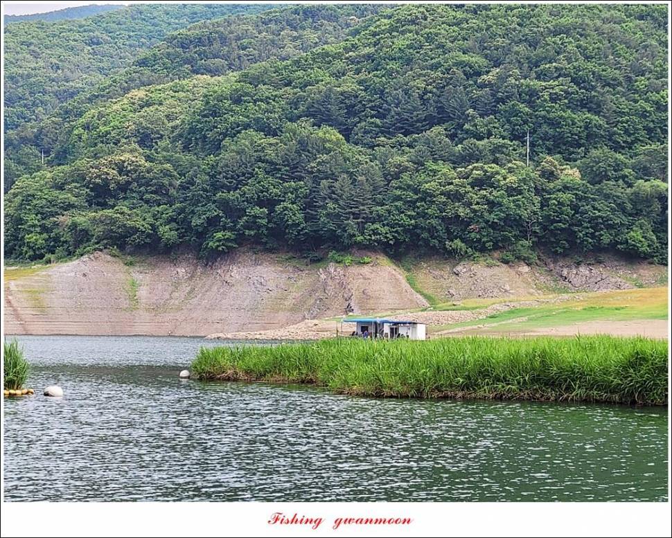한버들 4 짜목벌 4 짜화곡지 4 짜달천강 4 짜 (조황조행기 - 특파원조황)