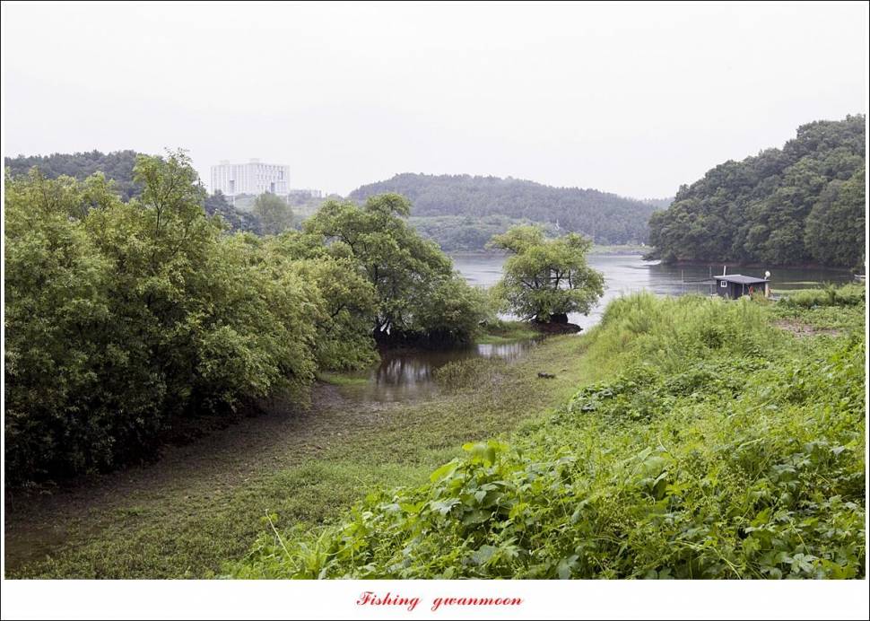 충주호 오름수위화곡지 조황 (조황조행기 - 특파원조황)