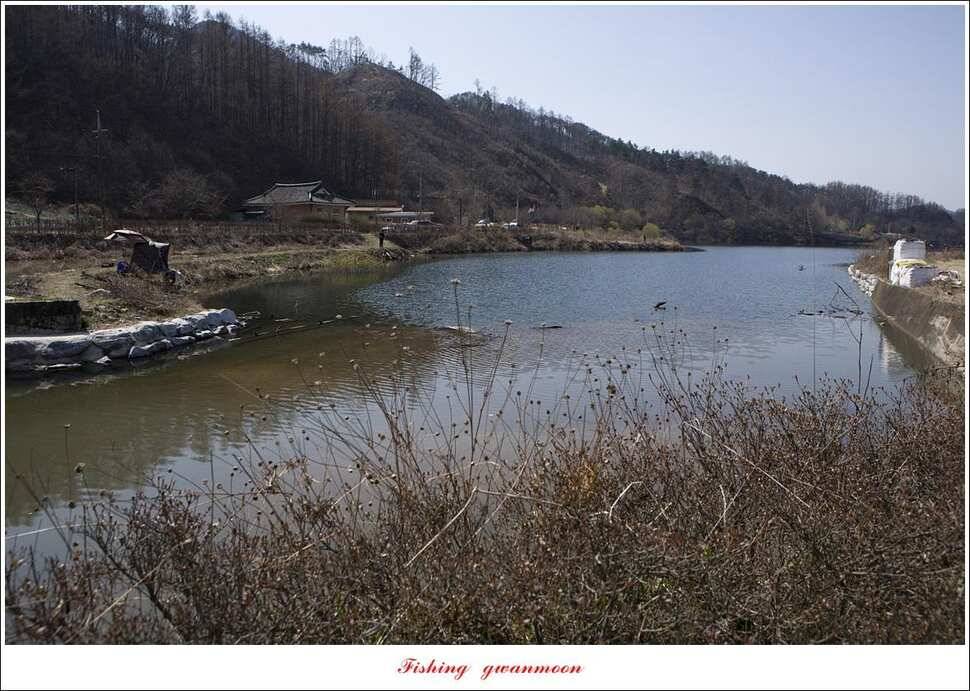 돌감 좌대추평지대제지 현황 (조황조행기 - 특파원조황)