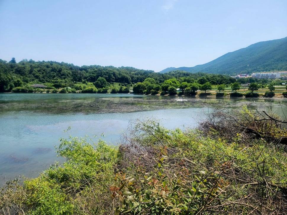 괴산음성 저수지 및 목벌 낚시터 조황 (조황조행기 - 특파원조황)