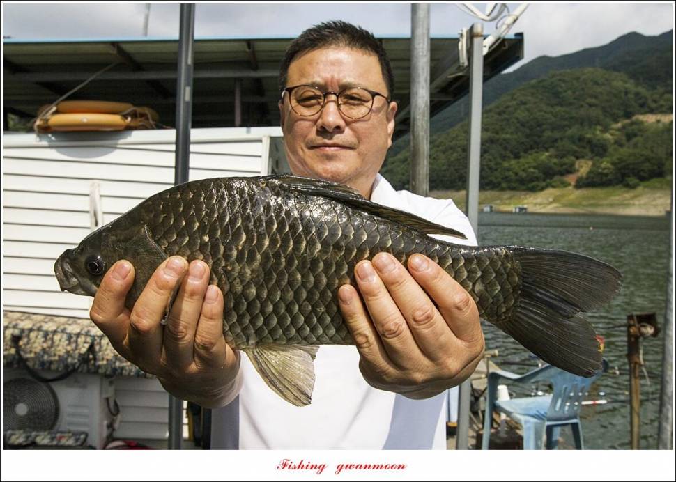 한버들 4 짜목벌 4 짜화곡지 4 짜달천강 4 짜 (조황조행기 - 특파원조황)
