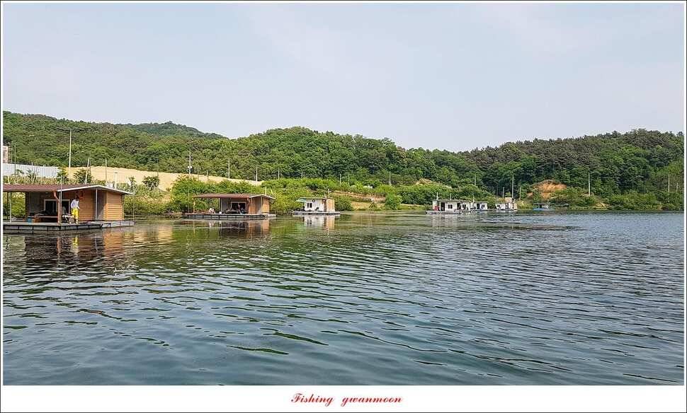달천강화곡지 사짜칠성지 사짜 조황 (조황조행기 - 특파원조황)