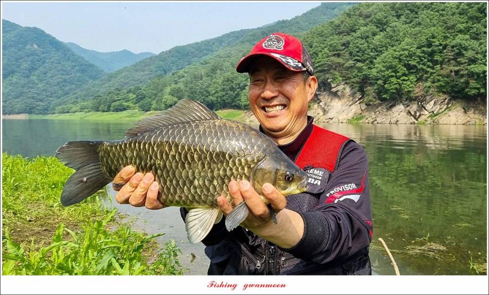 명서 43 cm 대물 및 4 짜 마릿수 조황 (조황조행기 - 특파원조황)