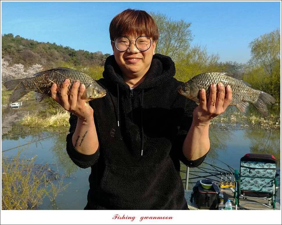 칠성지 39 cm385 cm월척 조황소이지앵천리보 (조황조행기 - 특파원조황)