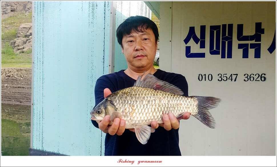 늘푸른 월척키로장어신매 월척돌감 월척 조황 (조황조행기 - 특파원조황)