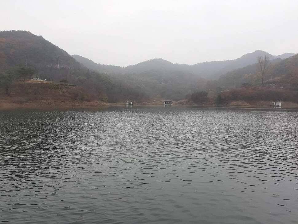 돌감제일 월척 조황 (조황조행기 - 특파원조황)