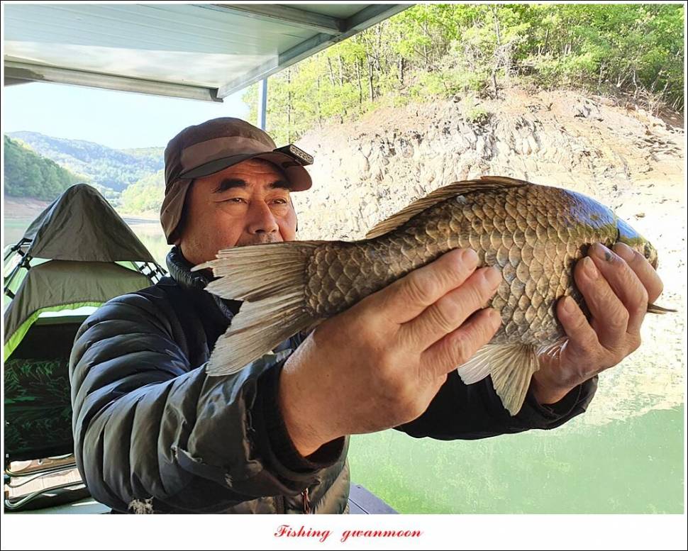 돌감충주호 노지칠성지한버들실리곡신리 4 짜 조황 (조황조행기 - 특파원조황)