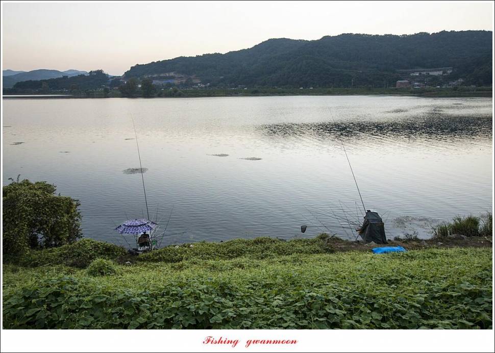 이스케이프 납회용원지화곡지 4 짜 조황 (조황조행기 - 특파원조황)