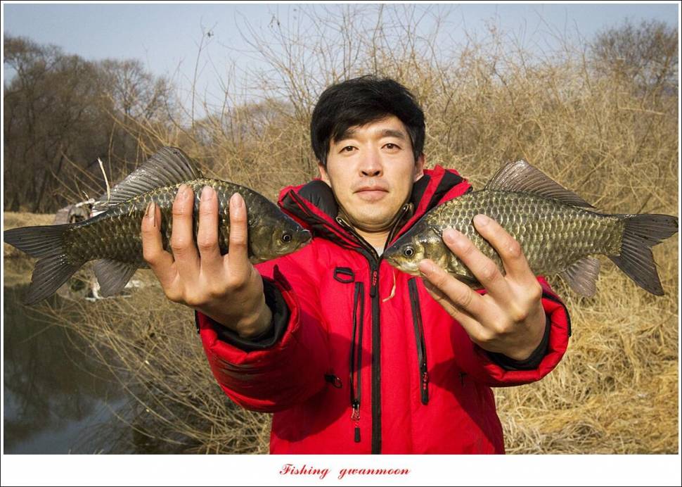 달천강 월척 조황 (조황조행기 - 특파원조황)