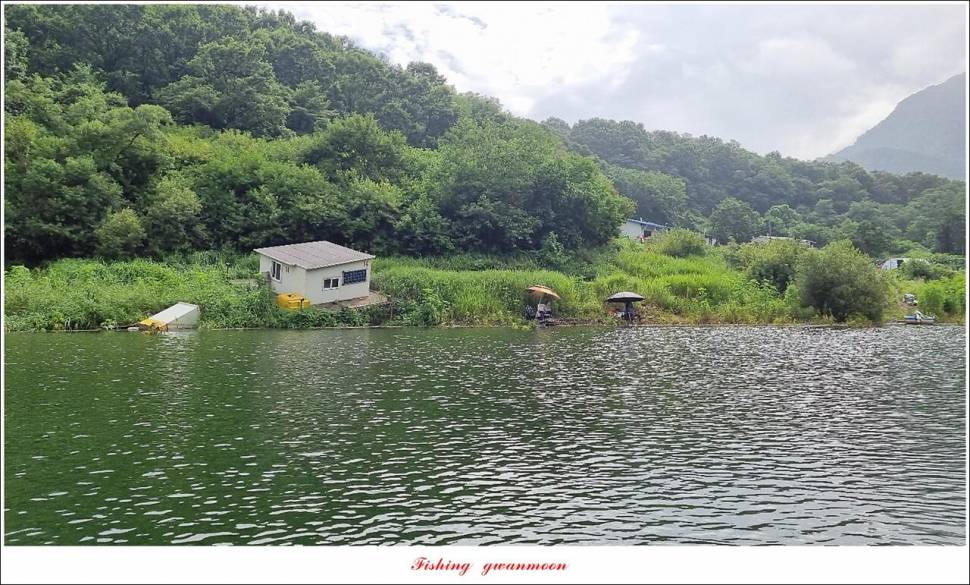 명서 4 짜화곡지 대물 및 마릿수 조황 (조황조행기 - 특파원조황)