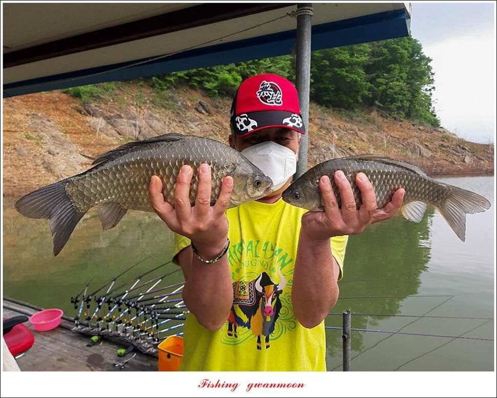 제일 395 cm돌감 37 cm 및 월척 조황 (조황조행기 - 특파원조황)
